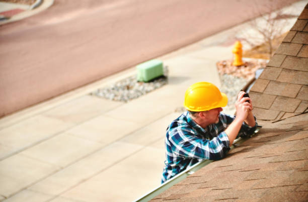 Best Roof Maintenance Services  in Glenwood, MN