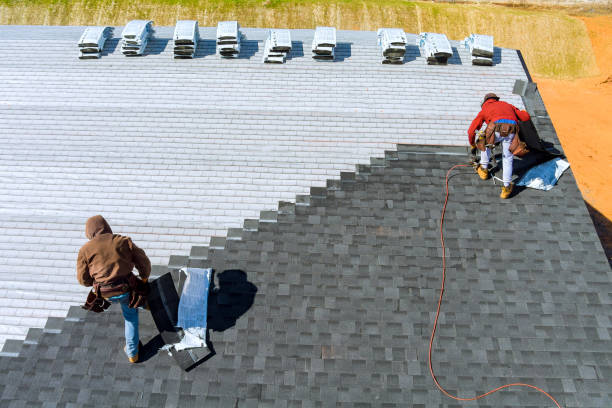 Best Roof Gutter Cleaning  in Glenwood, MN