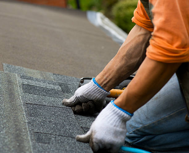 Best Flat Roof Repair Services  in Glenwood, MN