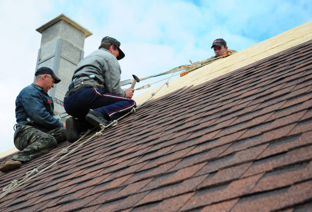 Quick and Trustworthy Emergency Roof Repair Services in Glenwood, MN