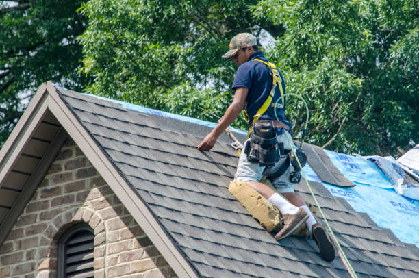 Best Residential Roofing Contractor  in Glenwood, MN